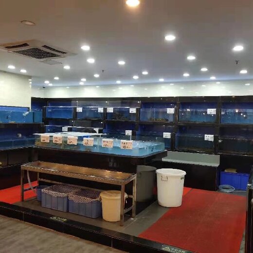 东坦海鲜池pvc板海鲜池,惠州塑料海鲜池安全可靠